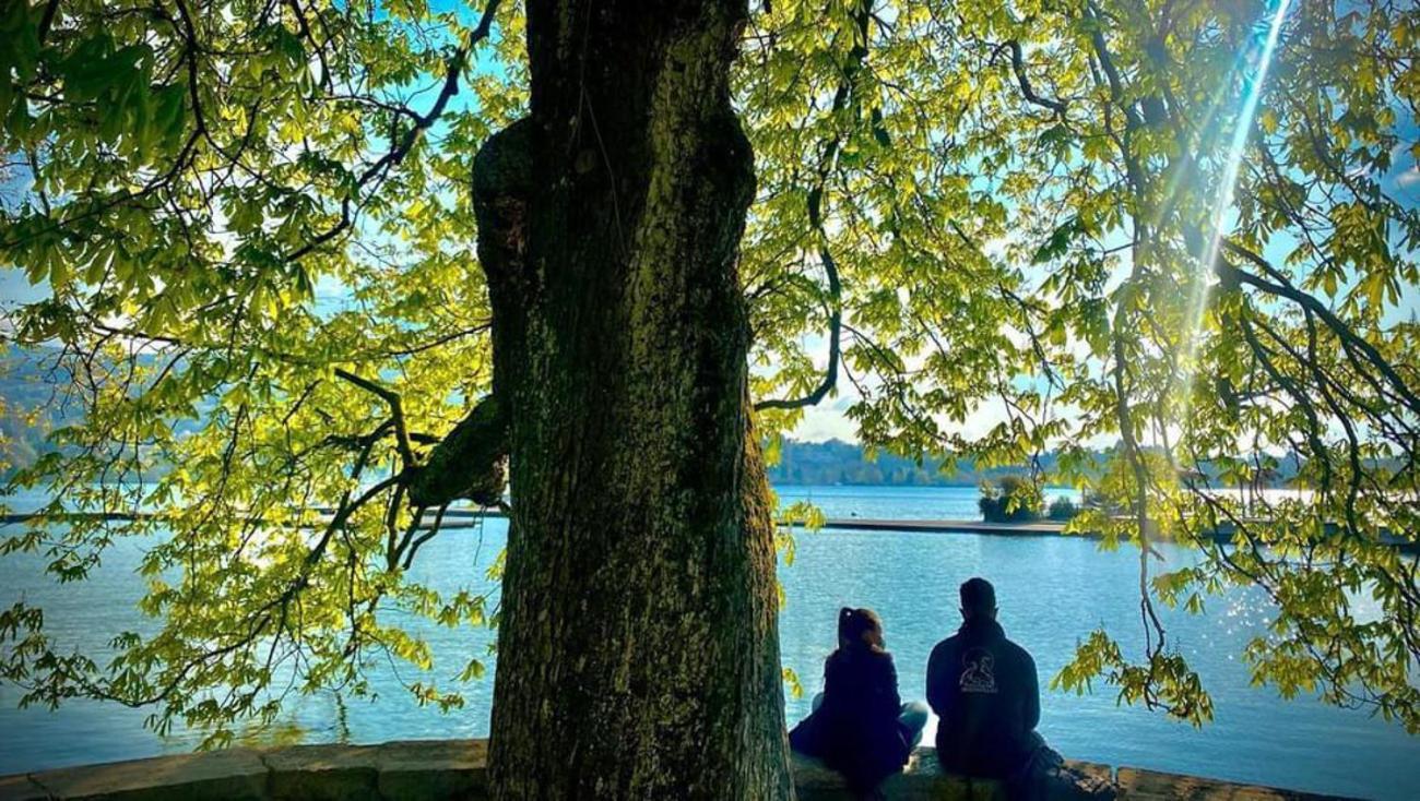 L'Echappee Du 36 - 4 Chambres Dans Le Triangle D'Or A 100M Du Lac, Parking Gratuit Annecy Eksteriør bilde