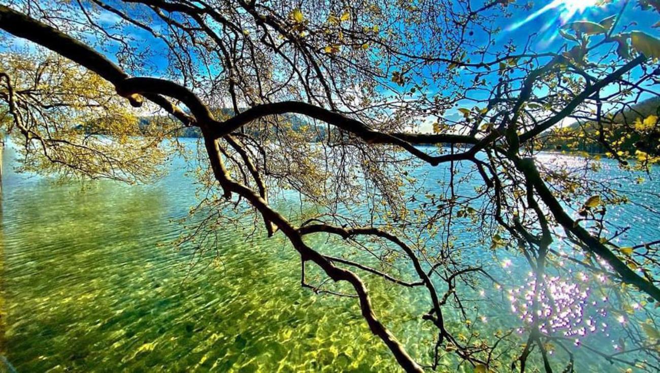 L'Echappee Du 36 - 4 Chambres Dans Le Triangle D'Or A 100M Du Lac, Parking Gratuit Annecy Eksteriør bilde